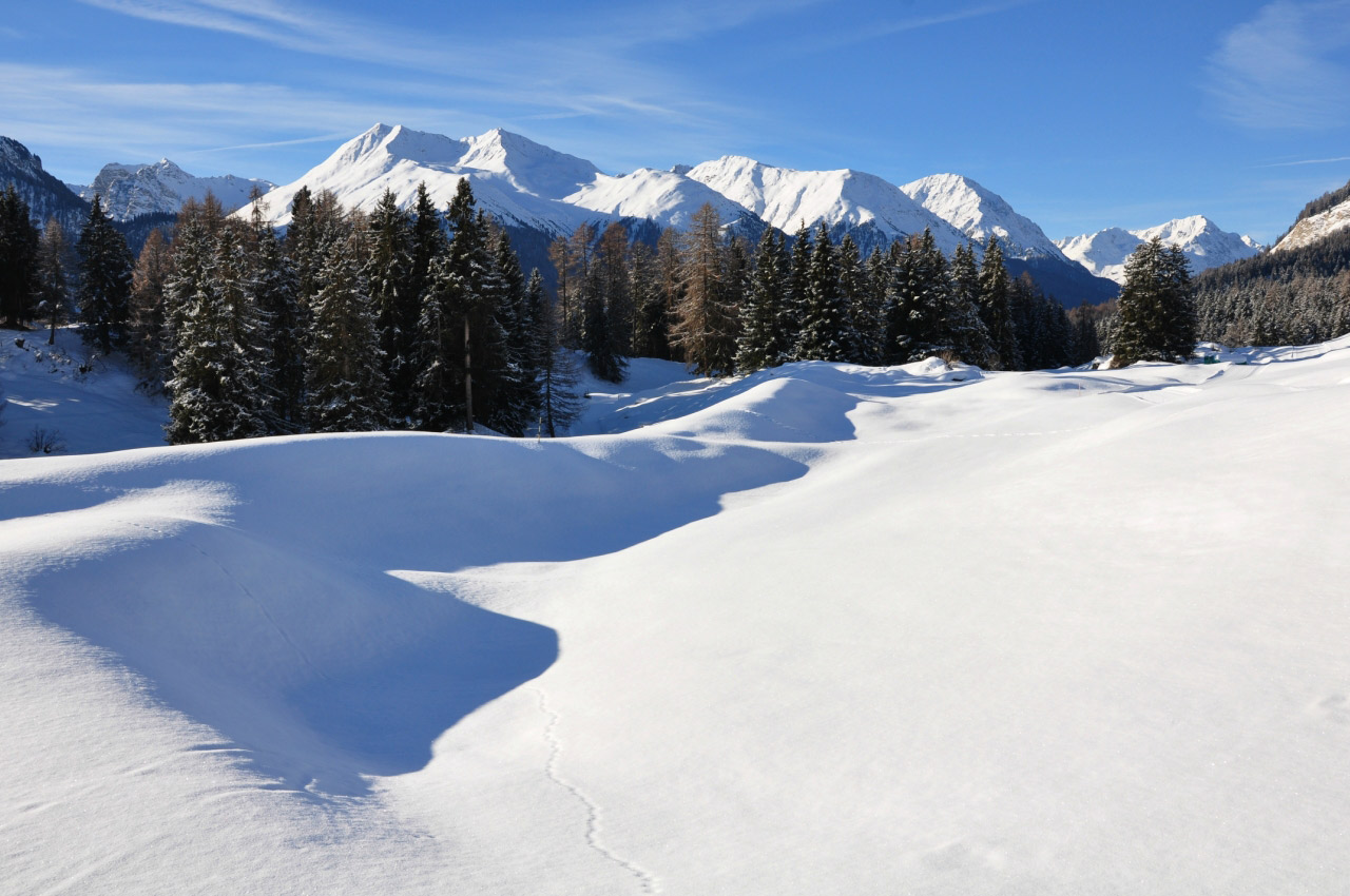 Scuol